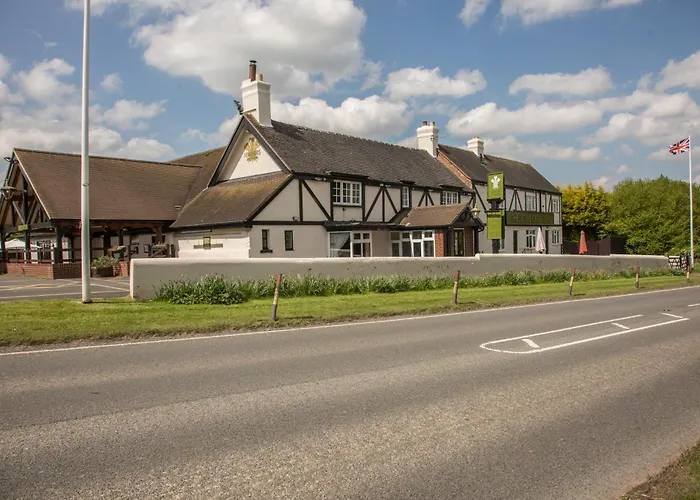 The Plume Of Feathers